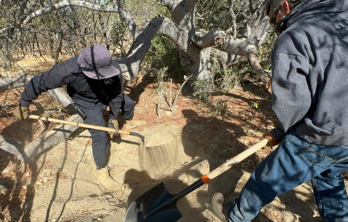 Hallan cuerpos en fosa clandestina en Baja California Sur