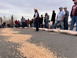 Agricultores derraman frijol en calles de Chihuahua en señal de protesta
