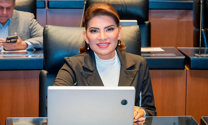 Reforma electoral busca democracia menos costosa