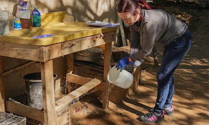 Piden reforzar prevención contra el dengue ante invierno atípico