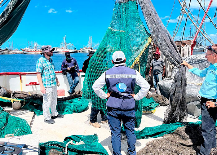 Avalan a México para exportar camarón