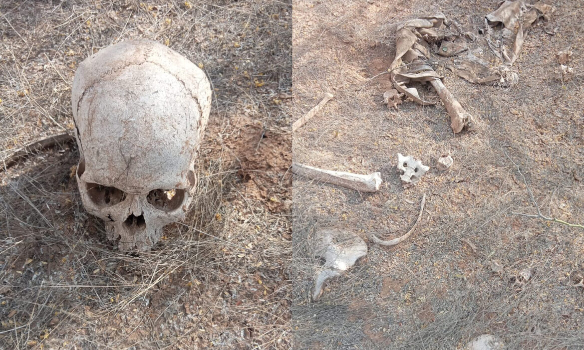 Localizan Madres Buscadoras una osamenta en la Costa de Hermosillo