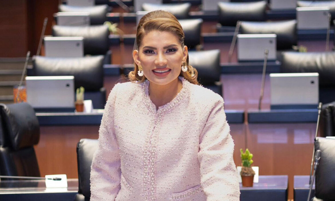 La senadora Lorenia Valles propone regular uso de redes sociales en menores