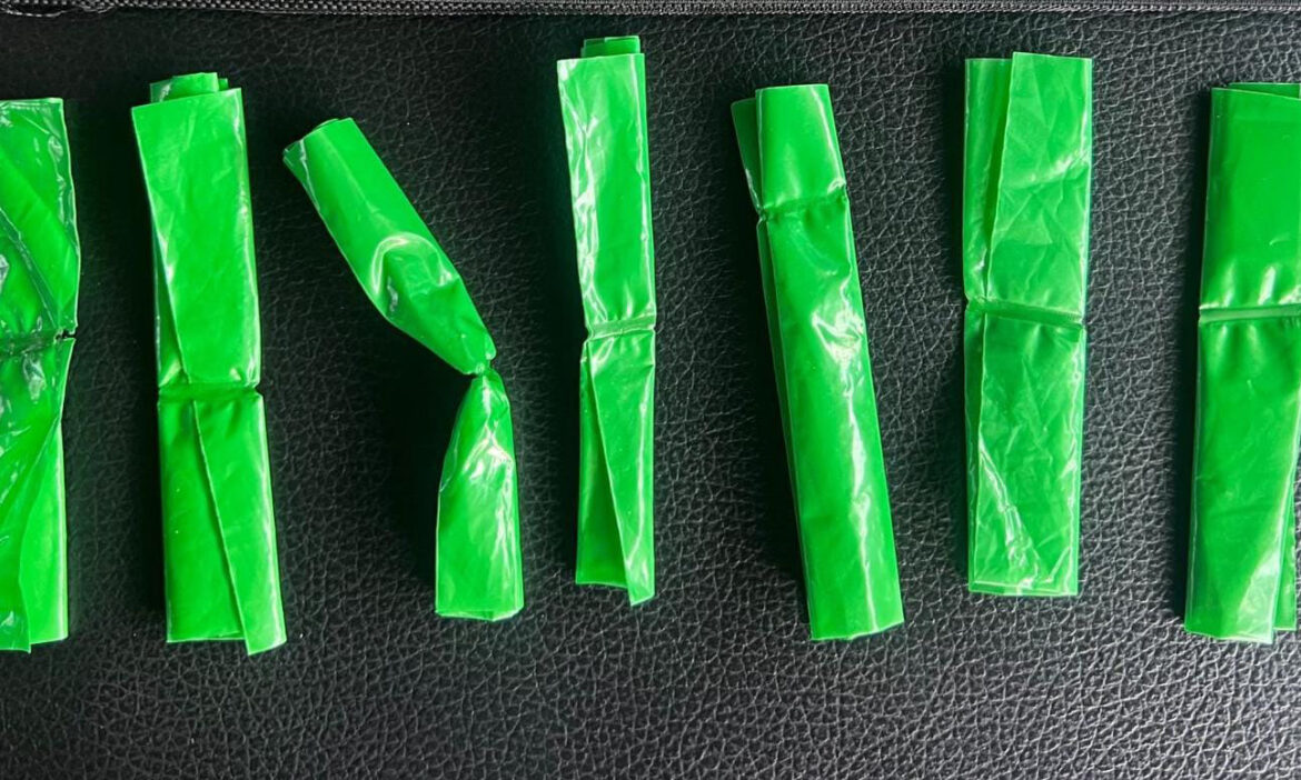 Aprehenden a presunto narcomenudista en la colonia San Benito