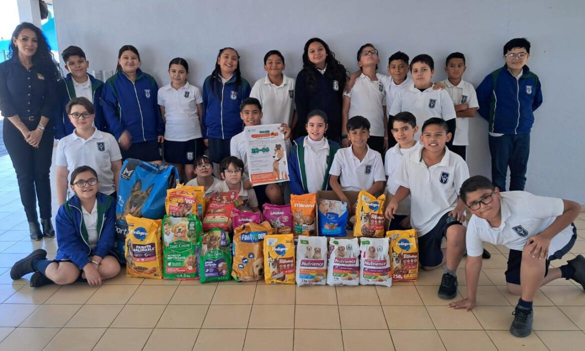 Superan meta de croquetón; recaudan 3.5 toneladas de alimento para perros y gatos