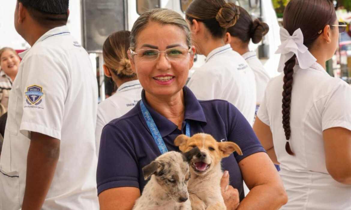 Impulsa Gobierno de Sonora esterilización de mascotas