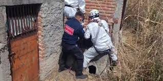 Gobierno investiga amenazas del narco en mina Camino Rojo; Sheinbaum confirma revisión