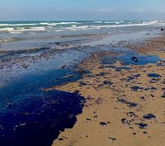 Sin daños en Sistema Arrecifal Veracruzano tras derrame de hidrocarburo: Bárcena