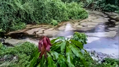 Derrame de hidrocarburo por fuga en ducto afecta agua en Veracruz