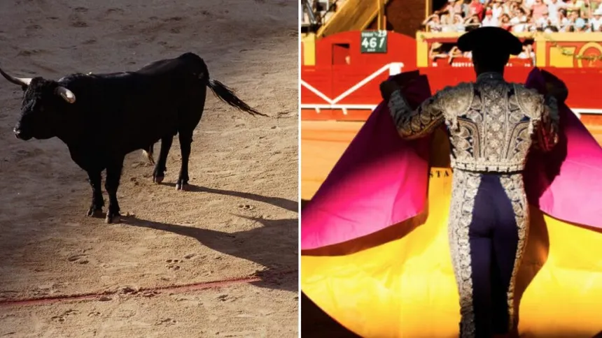 Morante de la Puebla sufre una fuerte cornada en la Feria de Sevilla