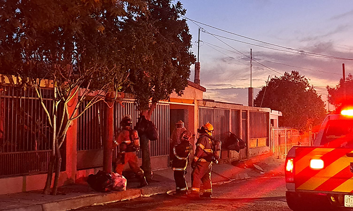 Ataque de abejas deja seis heridos en la colonia Jacinto López