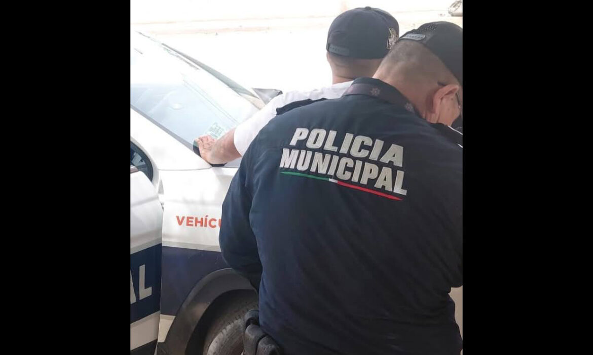 Aseguran 850 unidades de narcóticos