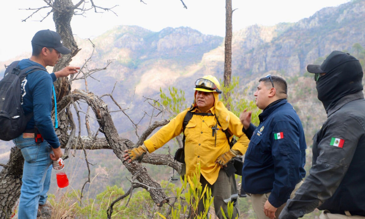 Avanza combate a incendio forestal en Álamos: Protección Civil