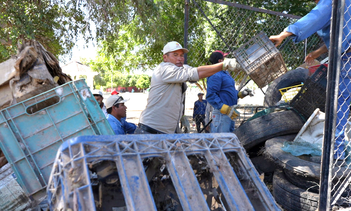 Mantienen acciones para prevenir y combatir el dengue en territorio sonorense
