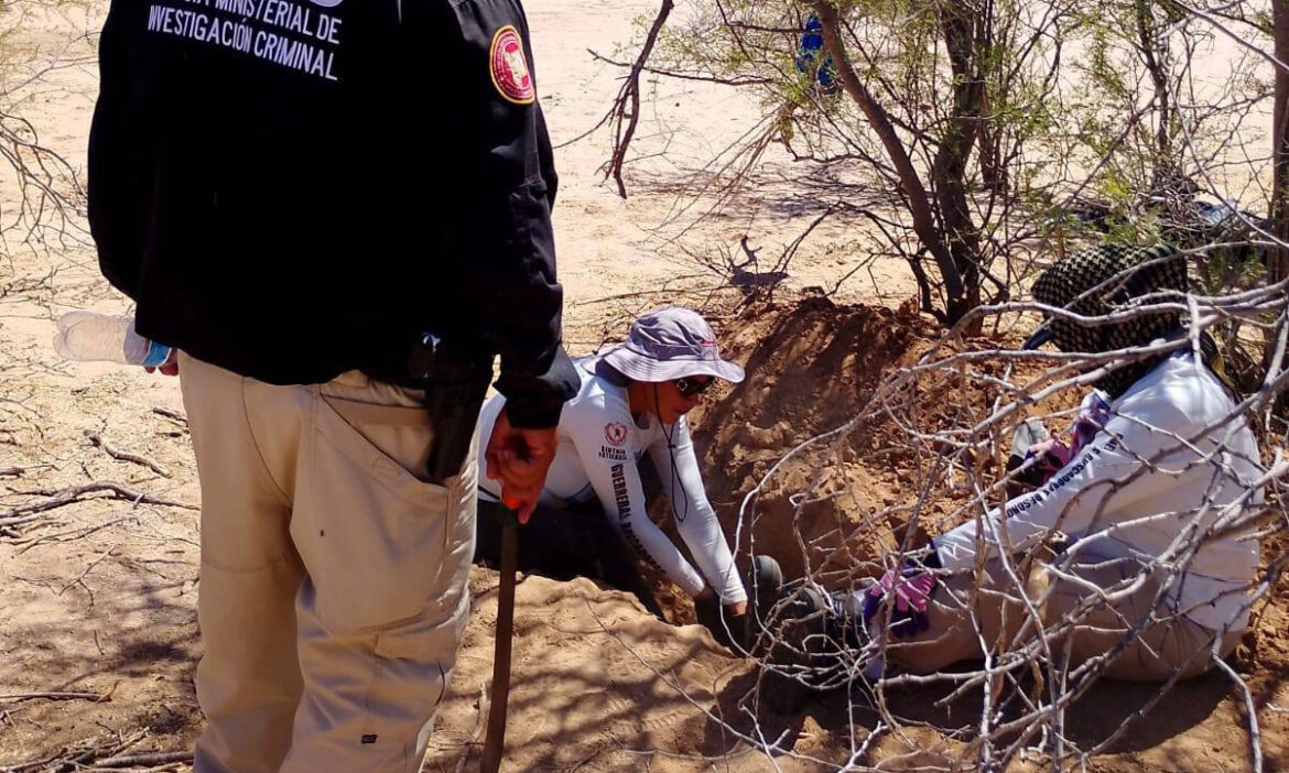 Hallan cinco cuerpos en fosas clandestinas en el ejido Graciano Sánchez