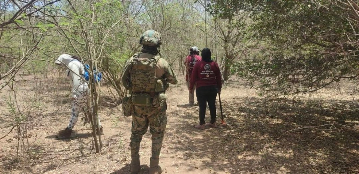 Sinaloa localiza restos humanos mediante brigada civil