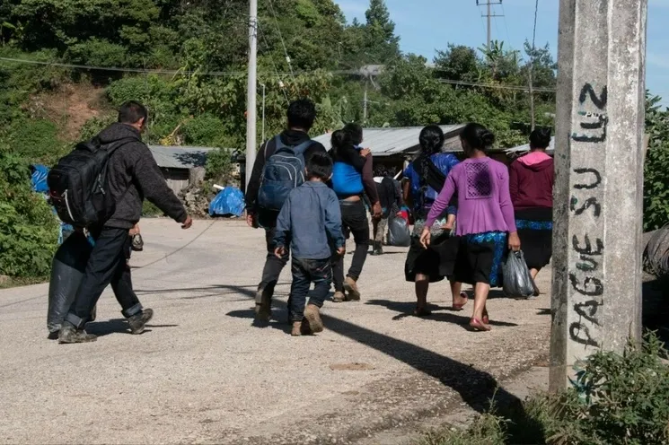 Chiapas sufre un ciclo continuo de violencia criminal