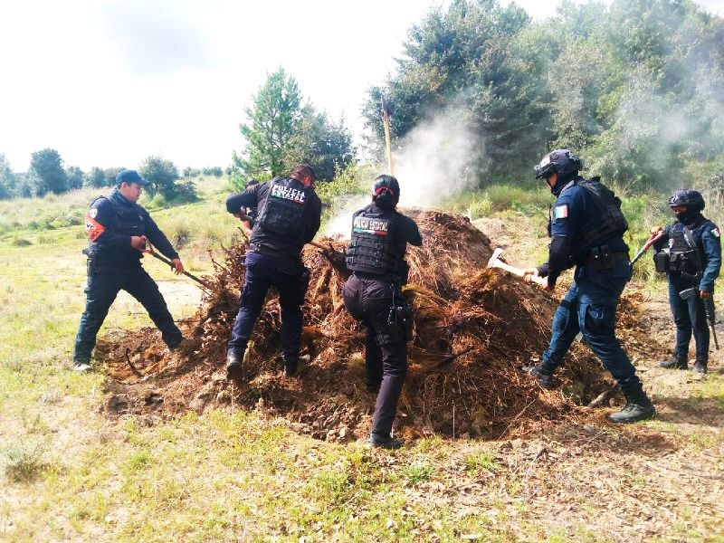 Puebla combate tala ilegal con operativos forestales