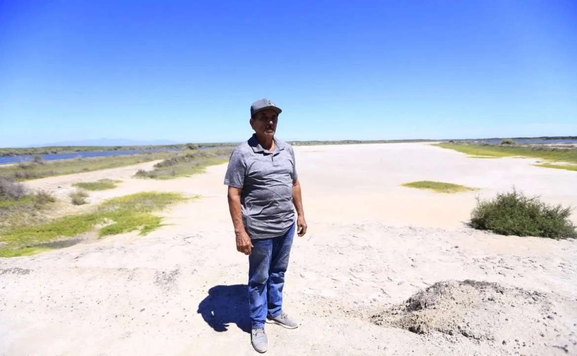 Camarón y su cultivo se apagan en Eldorado, Sinaloa
