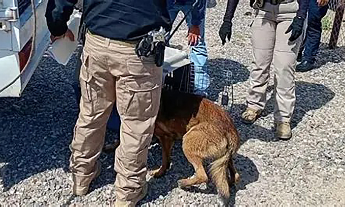 Intenta herir a perro con arma blanca en Villa de Seris