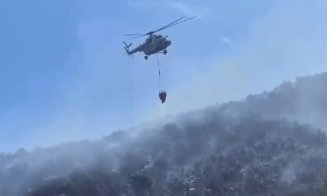 Avanza control de incendio forestal entre Arivechi y Sahuaripa