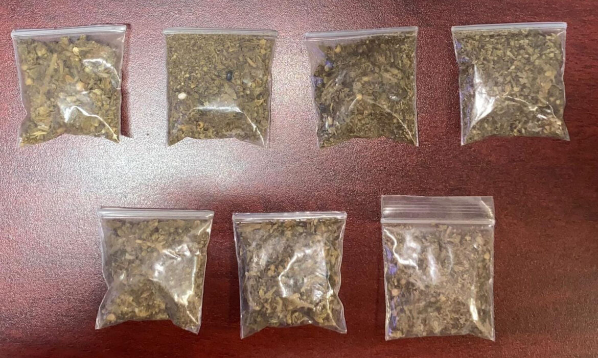 Aprehenden a joven mujer con mariguana en la colonia Villa del Real