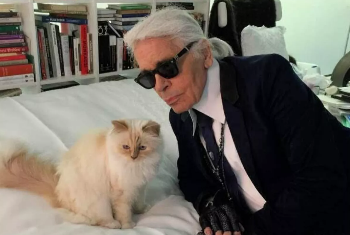 Choupette y la realidad detrás de una supuesta fortuna