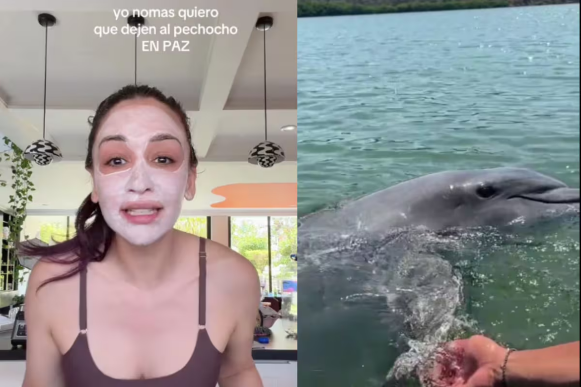Daniela Rodrice defiende al delfín El Pechocho en Sinaloa