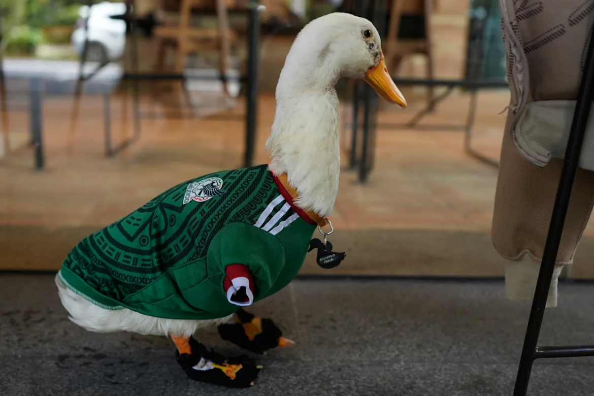 Pato Merlín es víctima de una cuenta fake