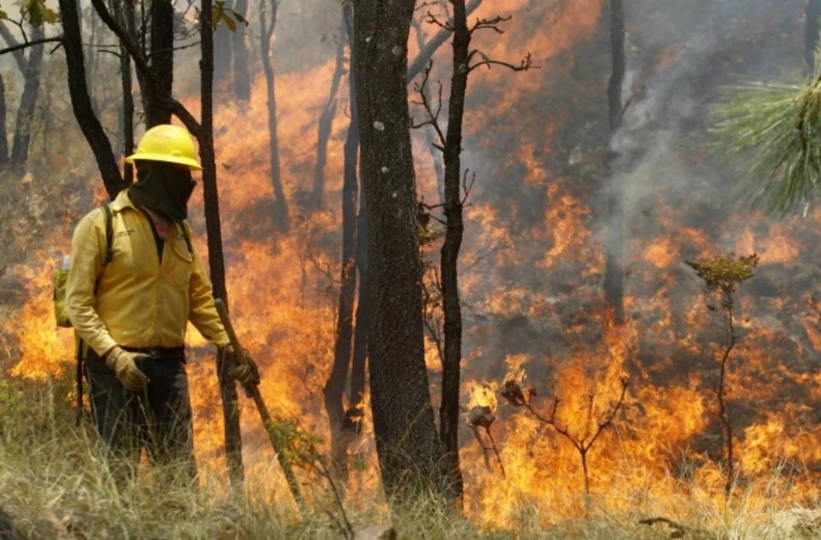 Incendios forestales dañan miles de hectáreas en Durango