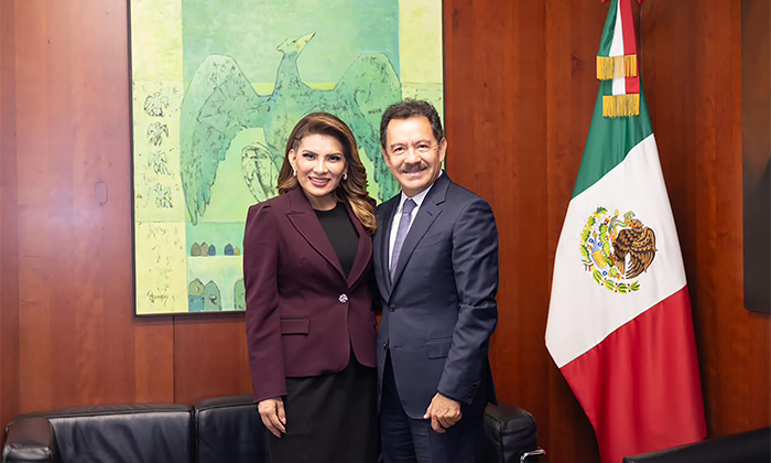 Solicita Lorenia Valles licencia en el Senado de la República