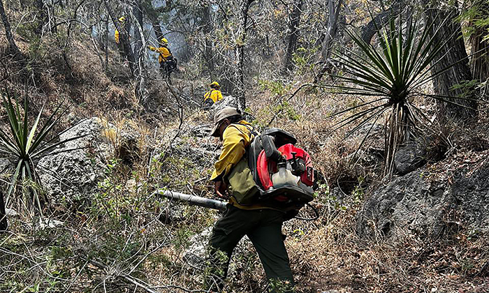 Controlan 100% incendio en La Casita en el municipio de Arivechi