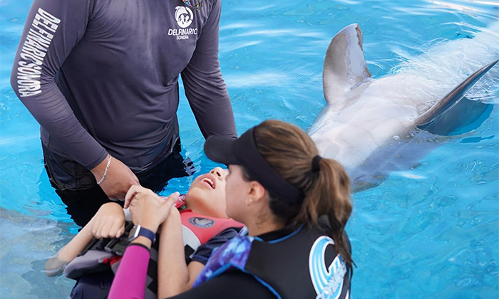 Abre DIF Sonora convocatoria para delfinoterapias