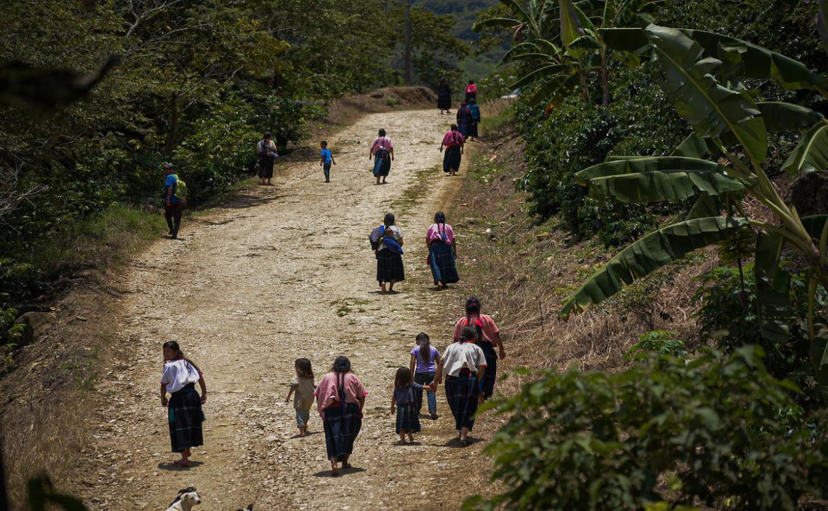 Acusan despojo y criminalización en comunidades de Chiapas