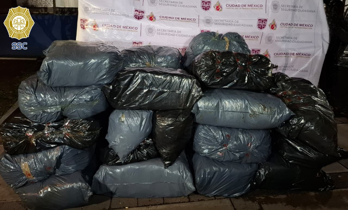 Decomisan media tonelada de aparente marihuana en cateo en la GAM