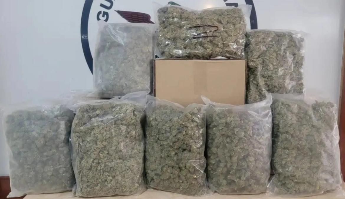 Fuerzas federales aseguran arsenal y droga en operativos en ocho estados