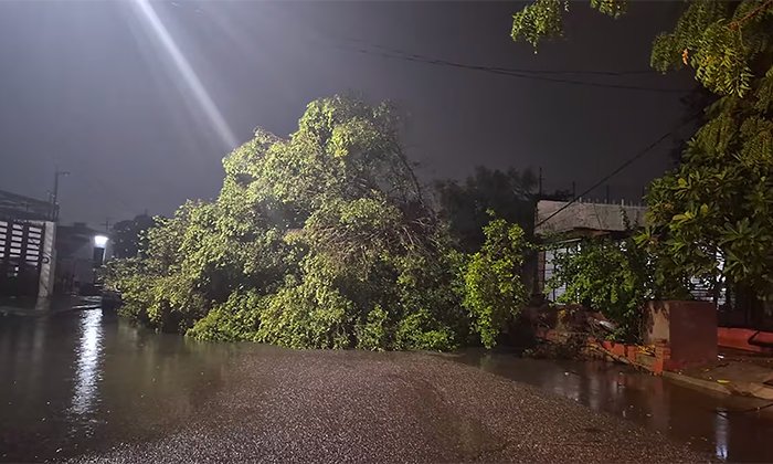 Atienden bomberos 30 reportes de daños tras lluvia