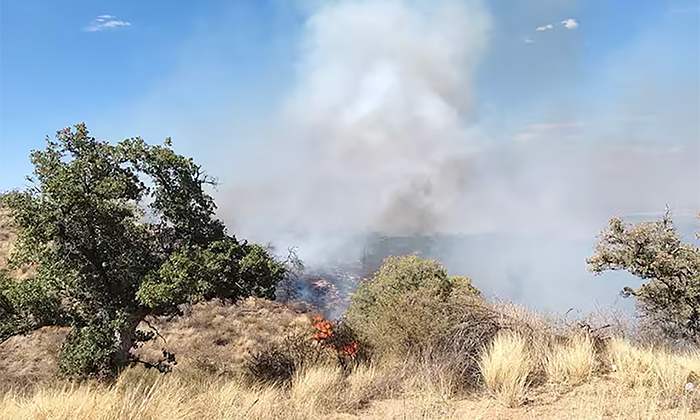 Socan Bomberos incendio en predio en Nogales