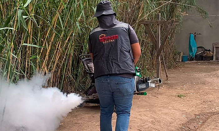 “Roza” dengue los 900 casos; Sonora se mantiene como líder en el país