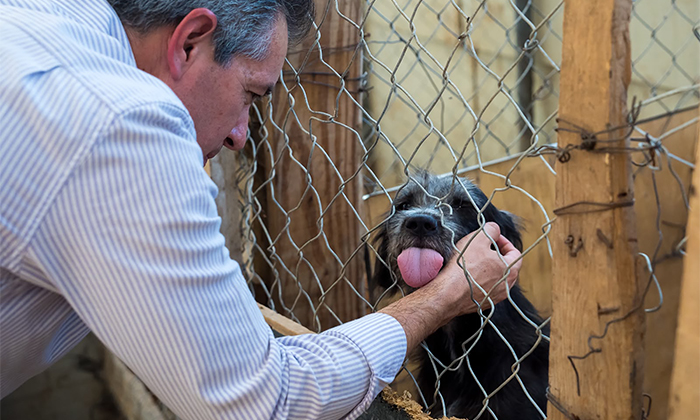 Continúa Omar del Valle Colosio lucha por el bienestar animal