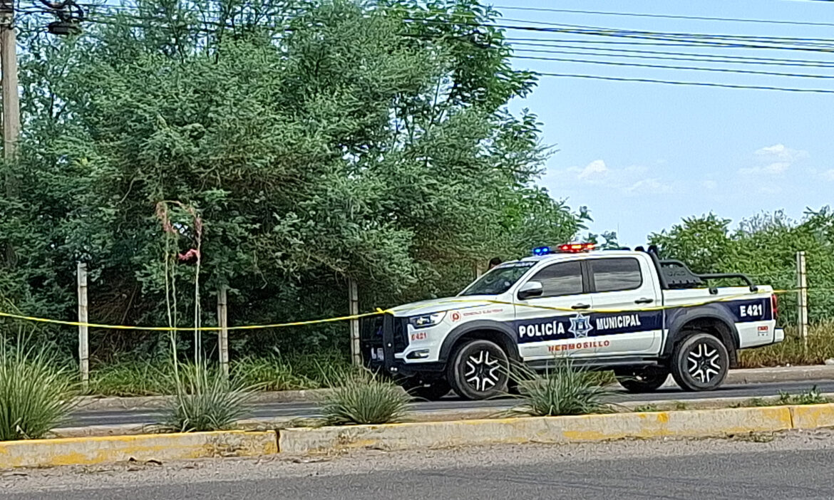 Hallan a hombre sin vida en Ventura Residencial