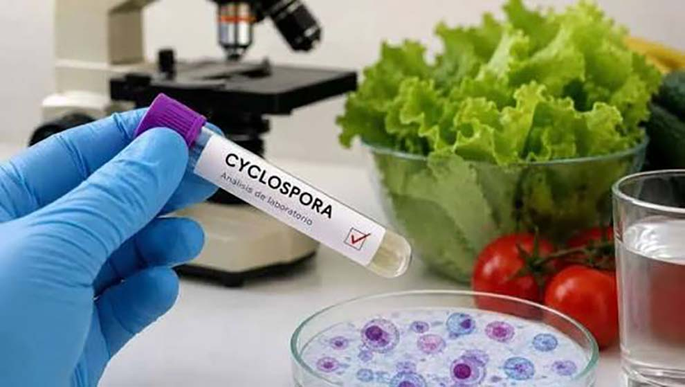 Salud llama a mantener la calma ante casos de ciclosporiasis en México