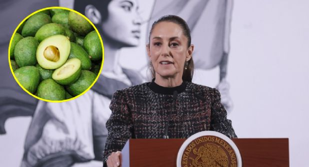 Sheinbaum garantiza seguridad a inspectores de EU en Michoacán
