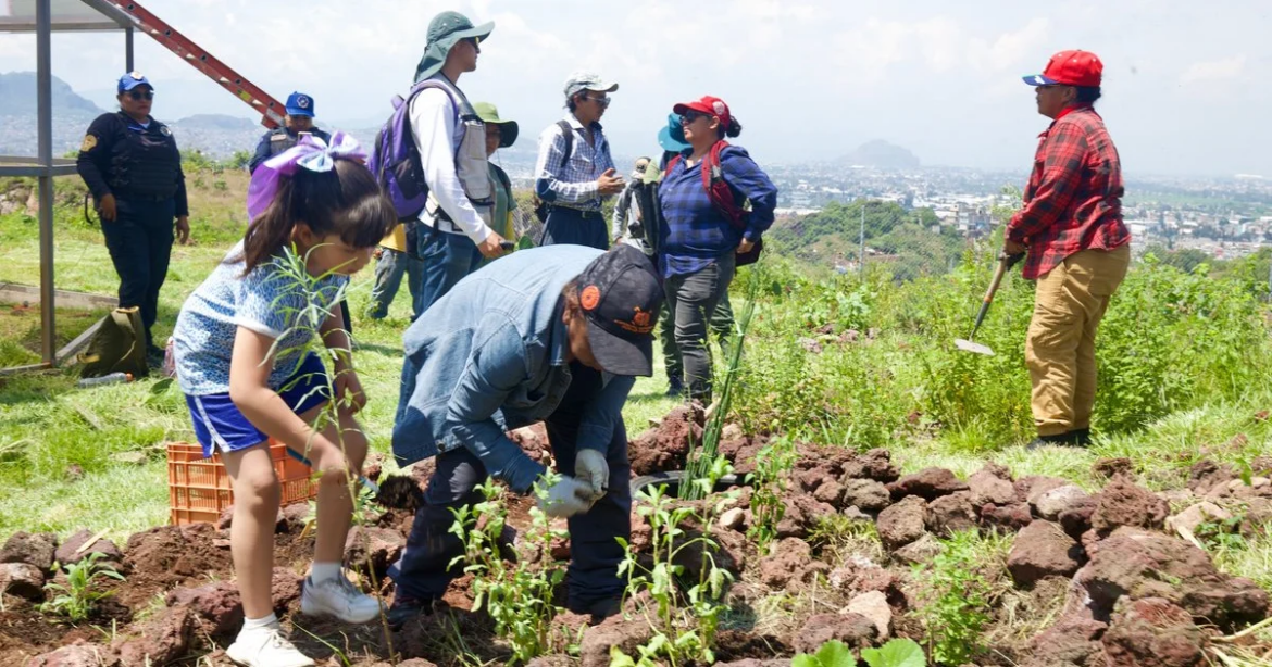 Sheinbaum pondrá en marcha la Jornada Nacional de Reforestación