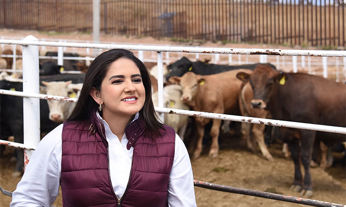 Destaca Celida López logro de reabrir exportación de ganado