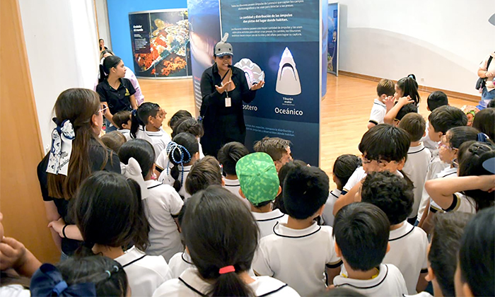 Supera expectativas la exposición “Tiburones”