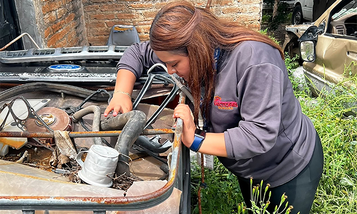 Se mantiene Sonora en primer lugar en casos de dengue en el país