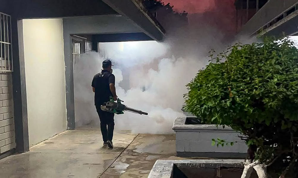 Refuerzan medidas preventivas contra dengue luego de lluvias por “Polo”