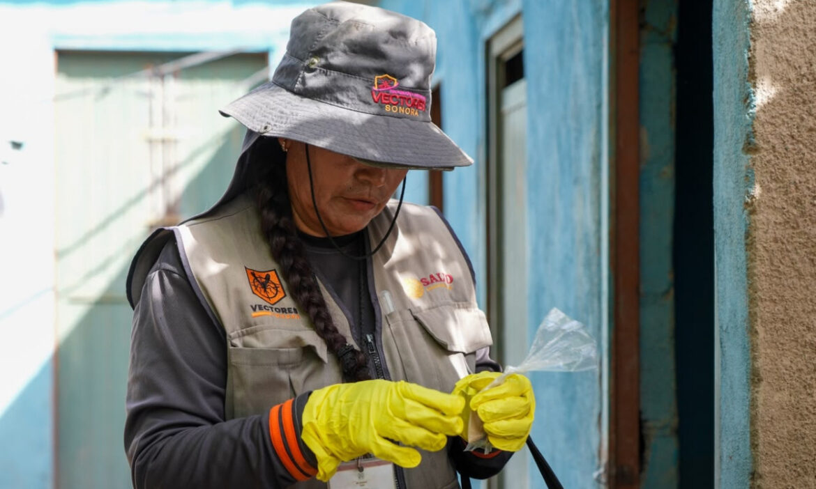 Mantienen campaña de fumigación permanente contra dengue en la comisaría Miguel Alemán