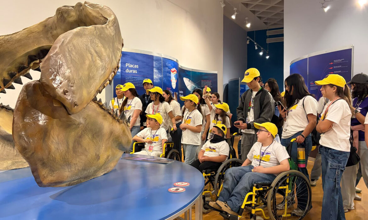 Niñas y niños del Club Teletón disfrutan experiencia “Tiburones”